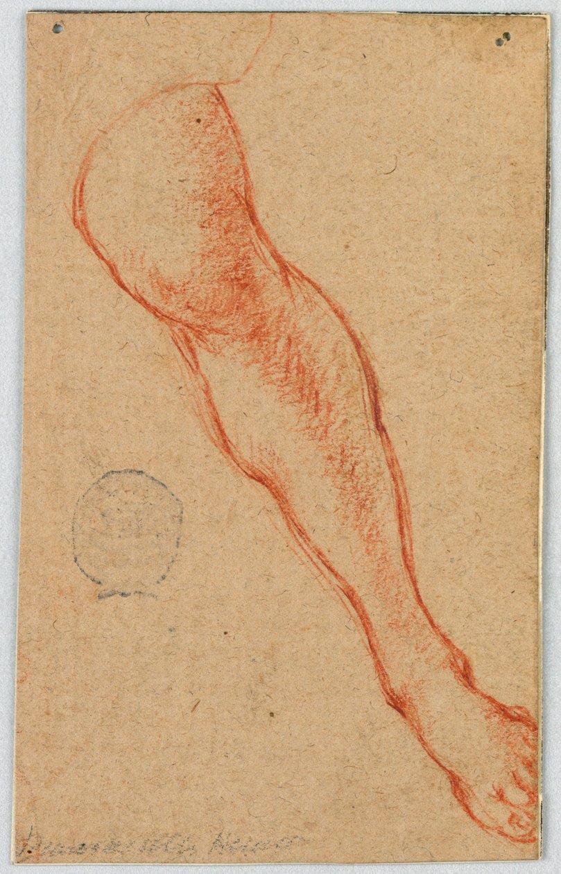 Studie av venstre ben til en sittende kvinne av Unknown artist