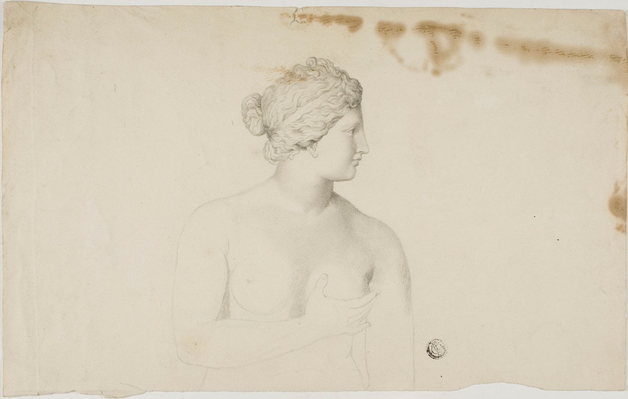 Studie av Medici Venus av Unknown artist