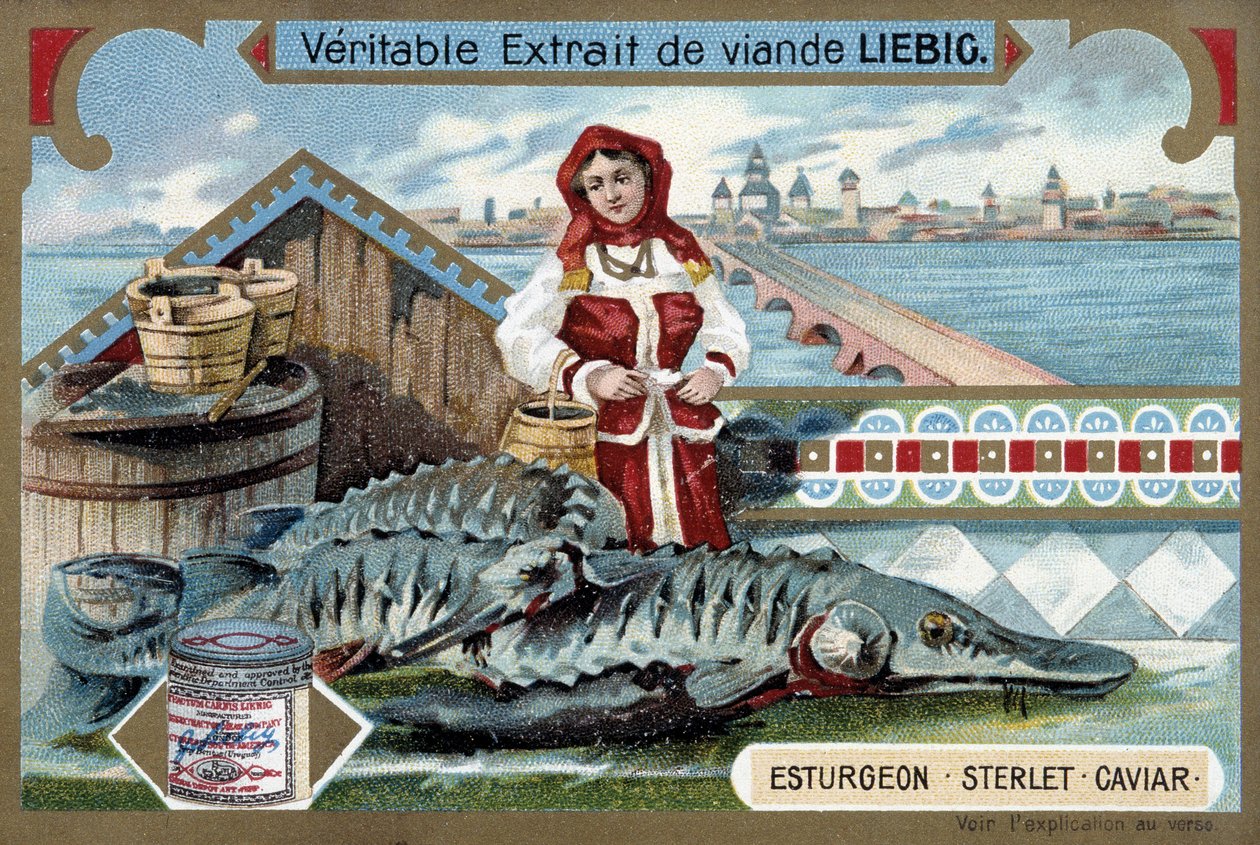 Stør, sterlet, kaviar, med en ung kvinne som holder bøtter, foran en russisk by - Liebig-kromolitografi av Unknown artist