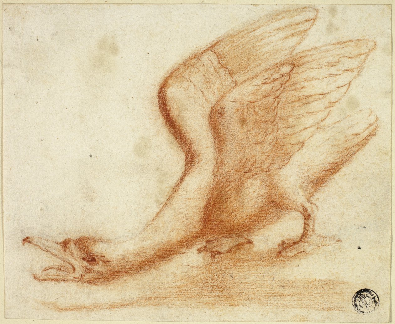 Svane av Unknown artist