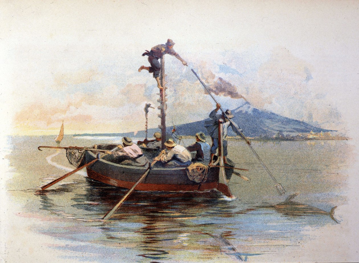 Sverdfisk harpunfiske i Detroit of Messina på Sicilia. Akvarell 1898 av Unknown artist