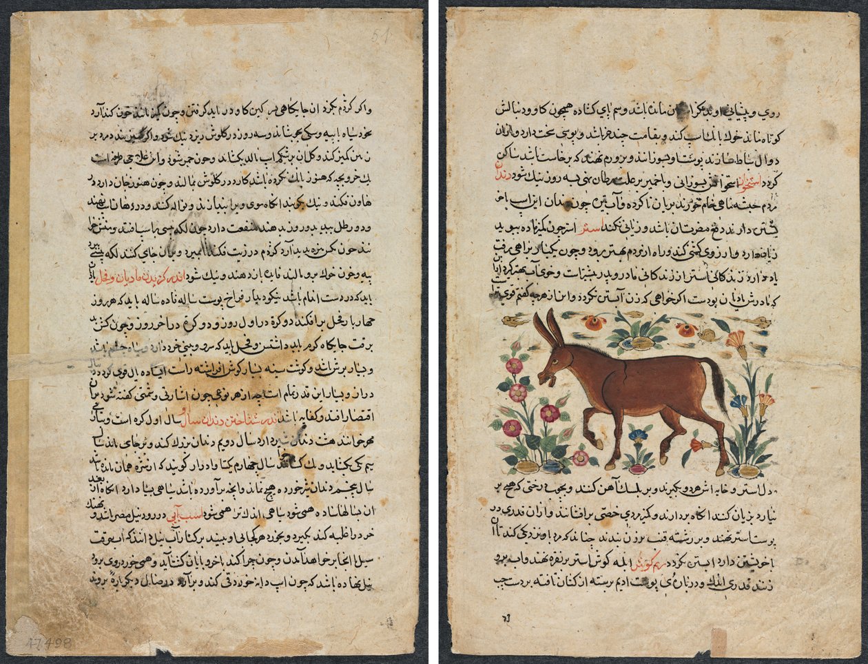 Tekstside, persisk prosa (Recto); Khar (ass) (verso) av Unknown artist