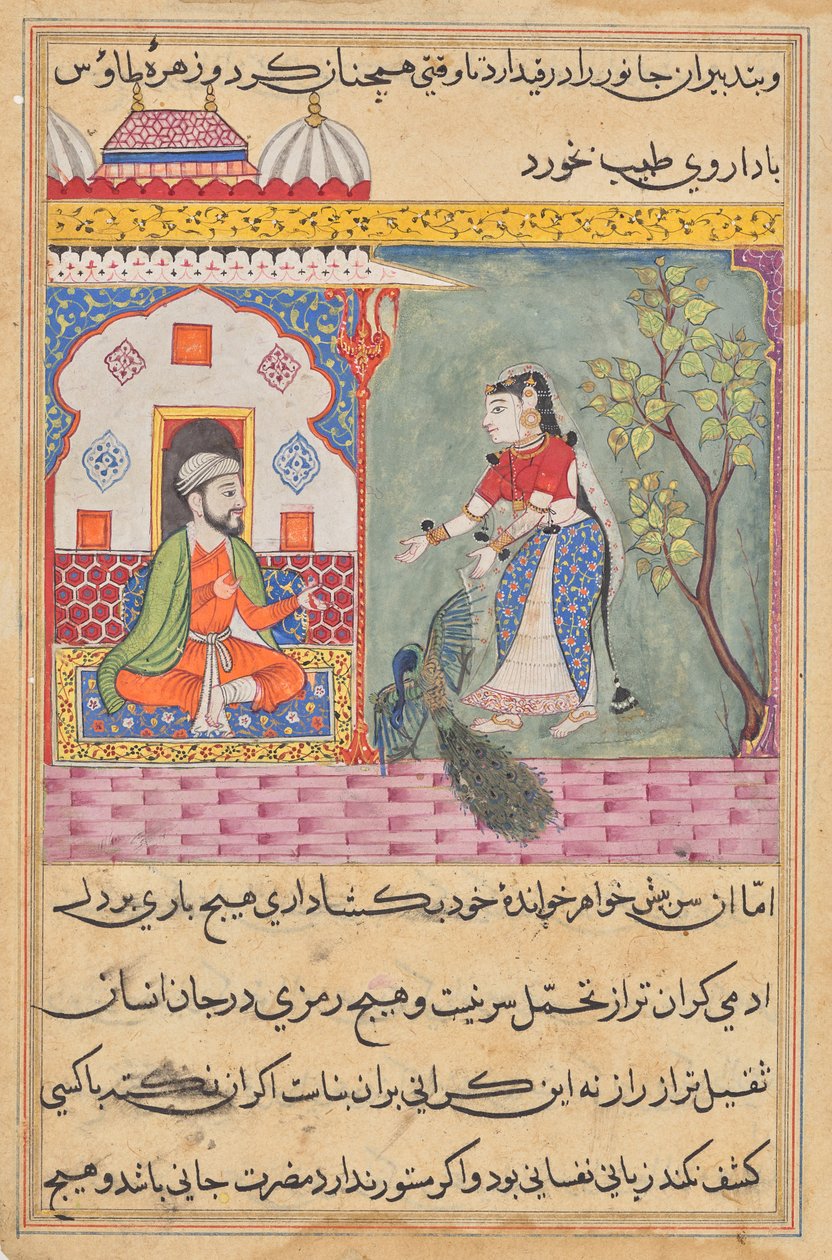 Brahmanens kone som drepte en påfugl og spiste galleblæren dens etter legens råd, fra en Tuti-nama (Tales of a Parrot): Nineteenth Night av Unknown artist