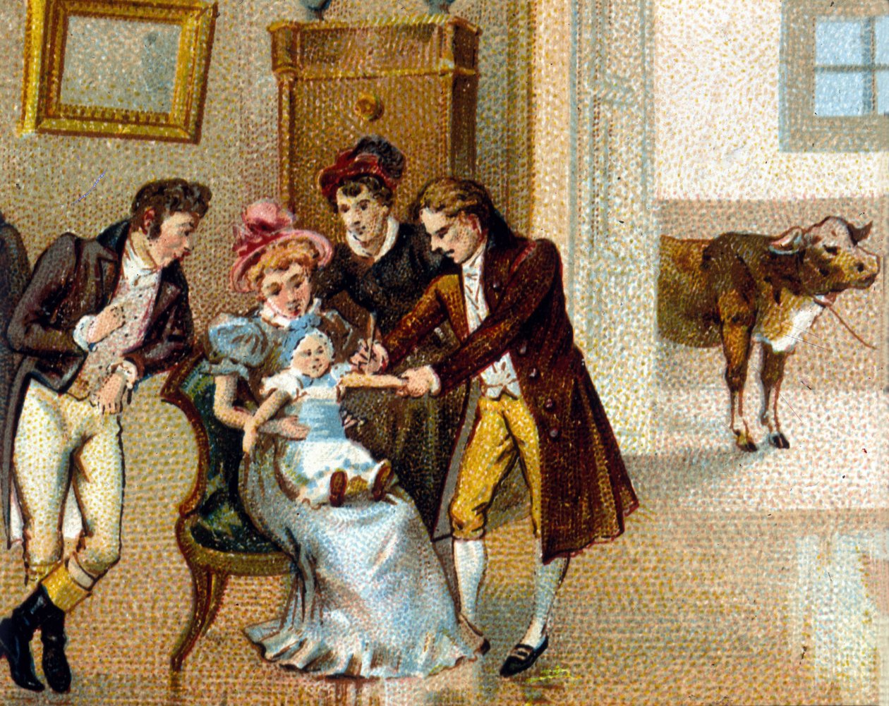Den engelske legen Edouard Jenner (1749-1823) inokulerer kopper på armen til en ny for å vaksinere ham. Kua som serumet ble tatt fra er nederst. kromolitografi fra 1800-tallet. av Unknown artist