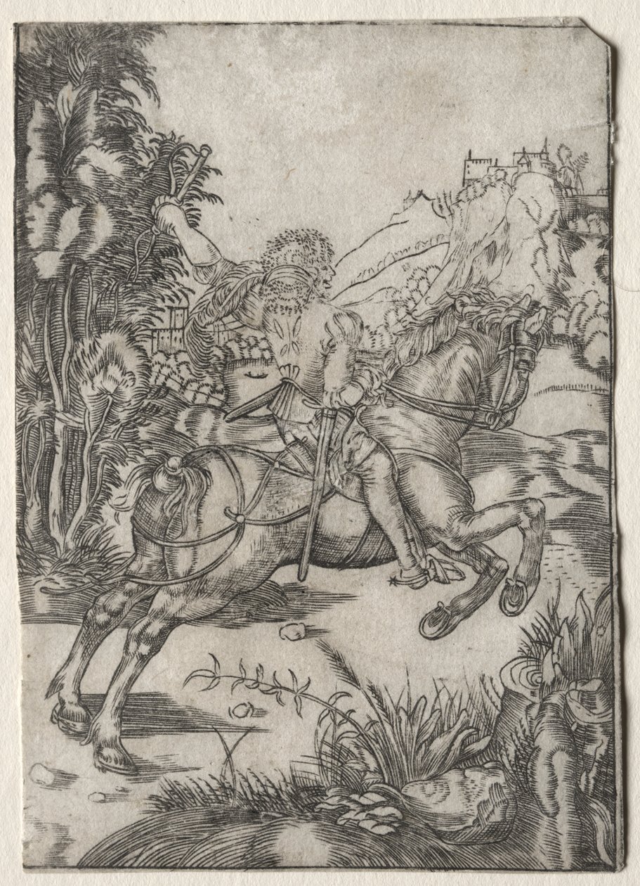 Den lille kureren av Unknown artist