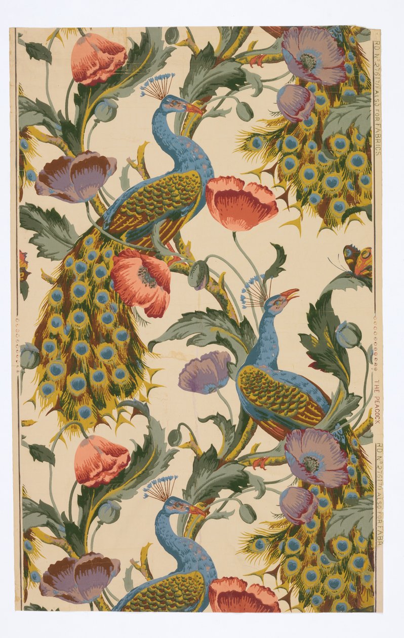 Påfuglen av Unknown artist