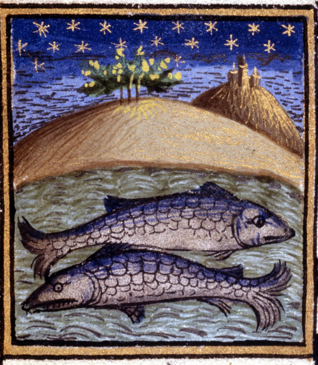 Fiskene. Miniatyr av et horoskop. 1400-talls manuskript. Bibl. Trivulziana, Milano. av Unknown artist