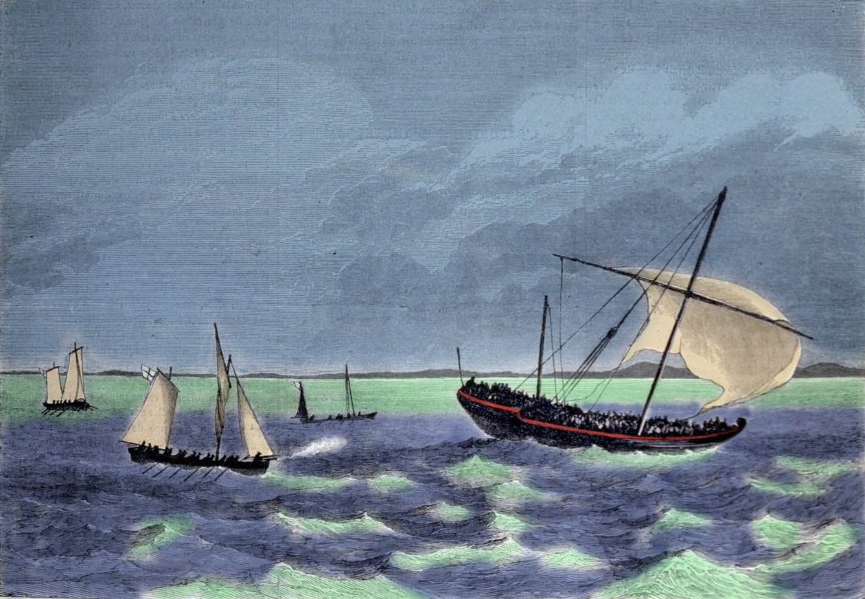 Fangsten av en dhow (arabisk båt) negrier langs den madagaskiske kysten. av Unknown artist