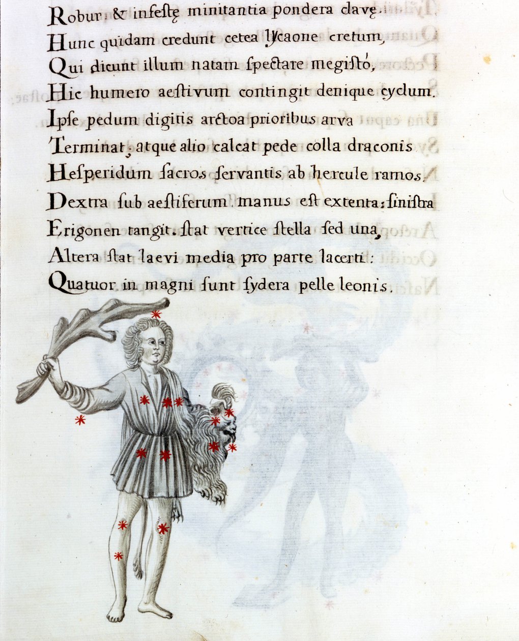 Konstellasjonen som er representert er Bouvier (eller Boots), som støtter håret til Berenices med venstre hånd. Side av et manuskript fra 1700-tallet basert på originalmanuskriptet "Astronomica" av Biasino da Parma (Blaise of Parma) (1425-1457) datert av Unknown artist