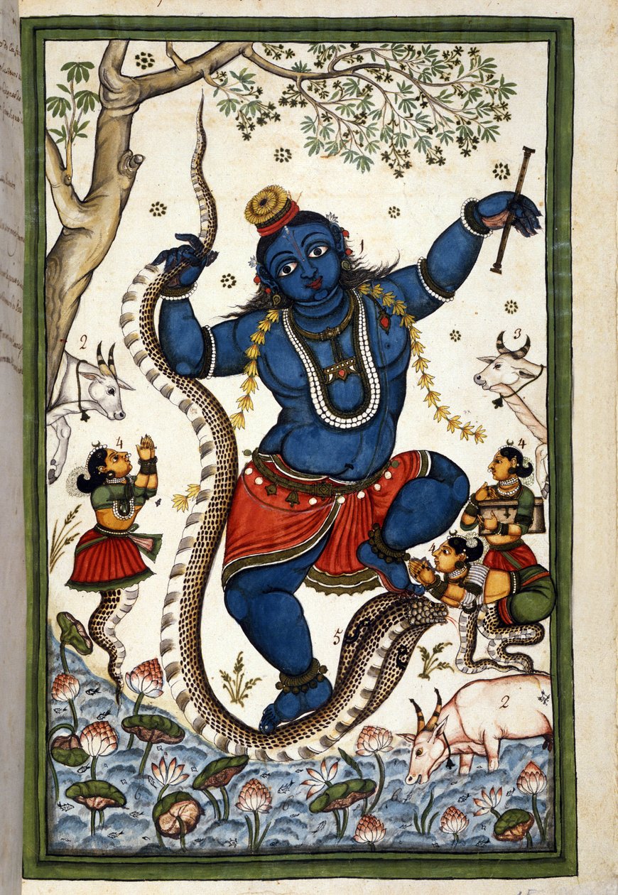 Guddommen til den brahmaniske triaden Vishnu Page fra manuskriptet (ms. 8300) "Mogols historie"" (Moghul eller Moghol) av Stefano Nivibus Cardeira. 18. århundre. Bibloteca marciana, Venezia av Unknown artist
