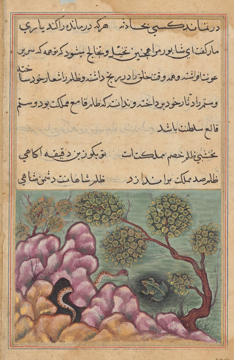 Den detroniserte frosken Shapur søker hjelp av slangen, fra en Tuti-nama (Tales of a Parrot): Twenty-sixth Night av Unknown artist