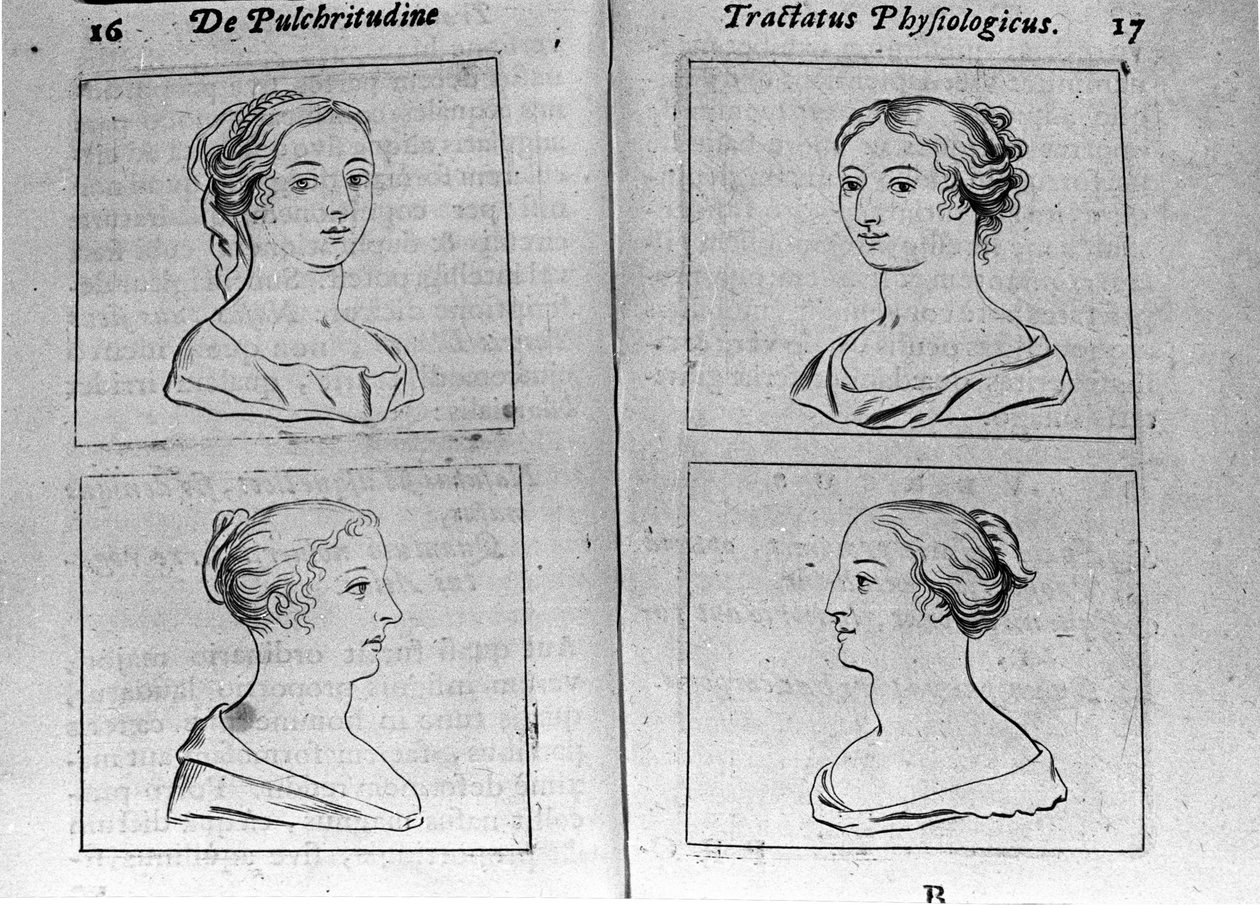 De forskjellige kvinneprofilene Page hentet fra "Tractatus physiologicus de pulchritudine"" omhandler Ernesto Venio (Ernestus Vaenius) som forsvarer skaperverkets skjønnhet mot en anonym motstander. 1612 av Unknown artist