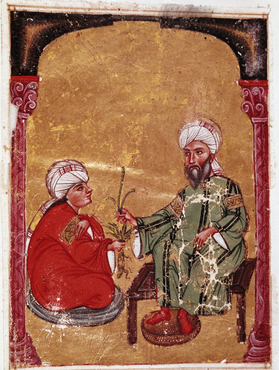 Legen og botanikeren Pedanius Dioscoride (Pedanius Dioscorides) (40-90 e.Kr.) sitter med en av studentene sine Miniatyr fra hans avhandling "De materia medica"" (ms Ahmed III, 2147, folio 217a) 1229 Topkapi Sarayi Museum Library, Istanbul av Unknown artist