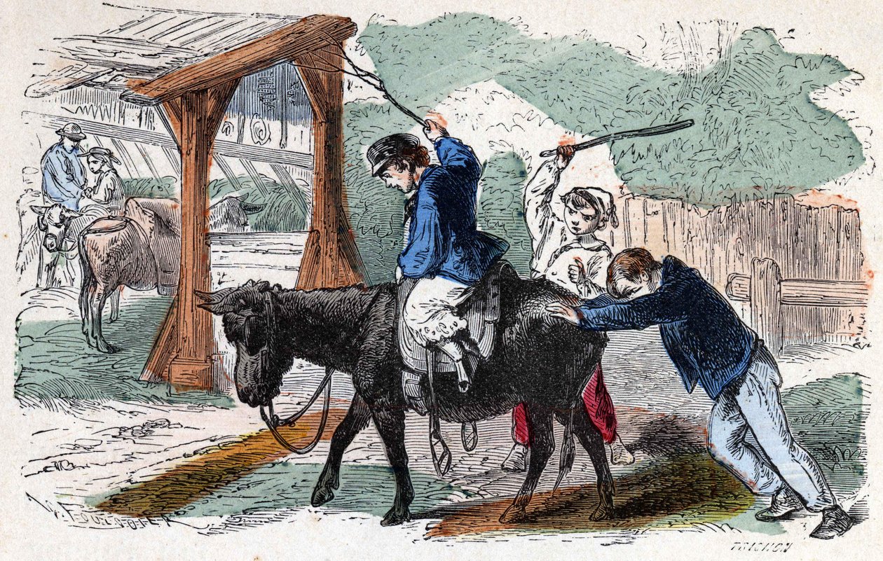 Eselet på gården. 1800-talls illustrasjon. Bianchetti samling. av Unknown artist