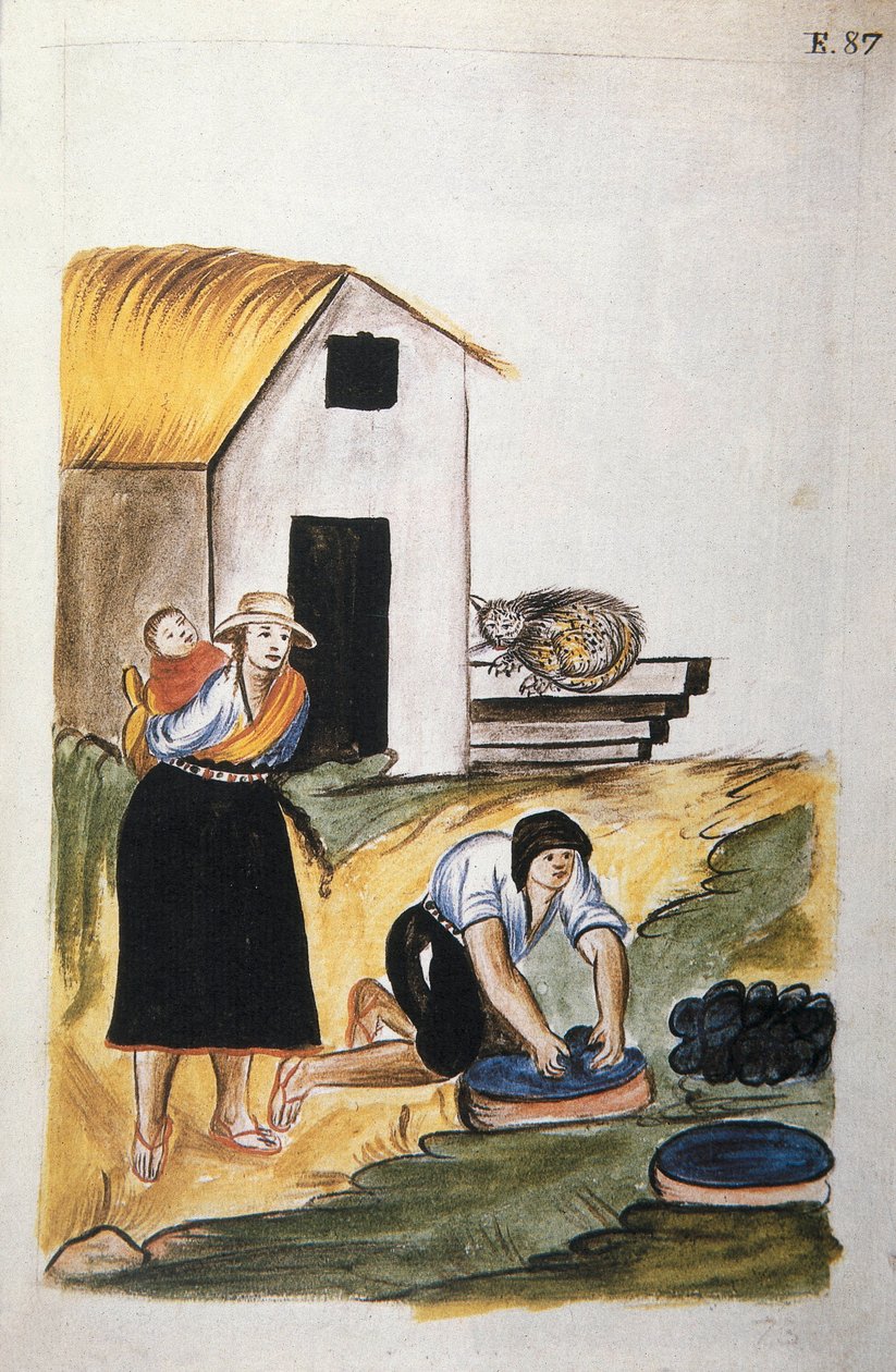 Farging av ull, fra boken "Trujillo of Peru" eller "Codex Martinez Companion", av Baltazar Martinez Companion og Bujanda, biskop av Trujillo (1782-1785) av Unknown artist