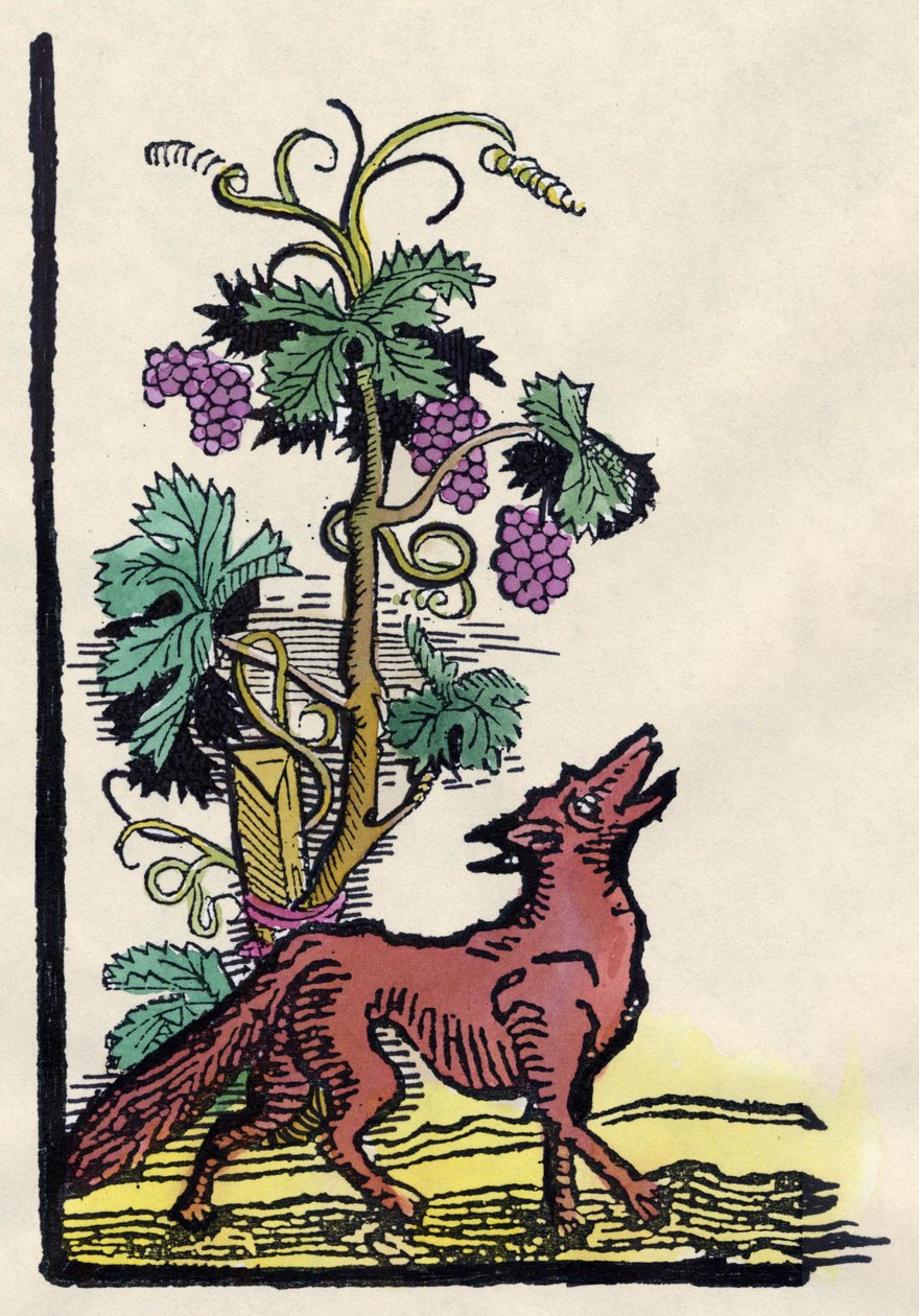 Reven og druene. Fable of Asope (gravering fra 1700-tallet) av Unknown artist