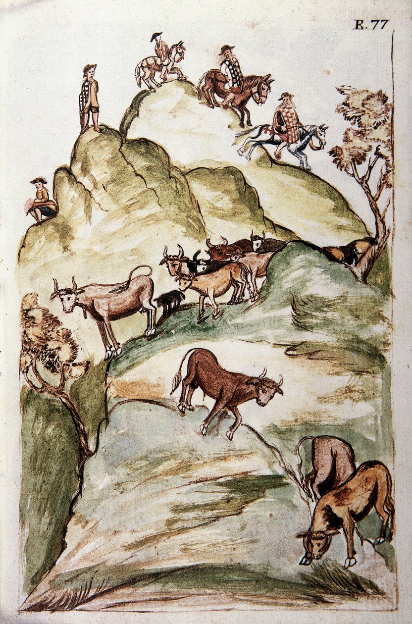 Vaktene til kyr som omkranser en gruppe kyr i fjellene for å fange dem, fra boken "Trujillo del Peru" eller "Codex Martinez Companion", av Baltazar Martinez Companion og Bujanda, biskop av Trujillo (1782-1785) av Unknown artist