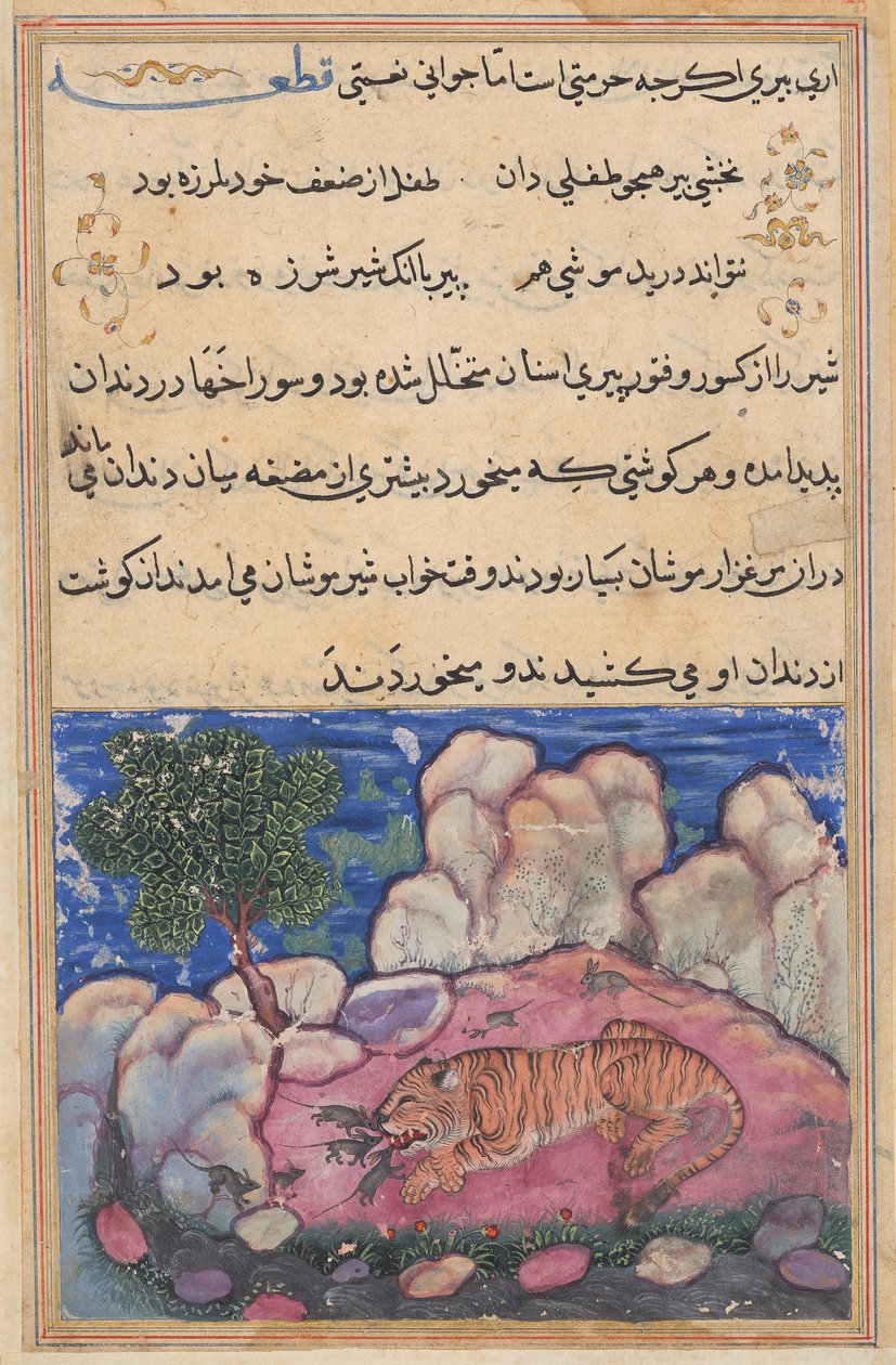 Løven forstyrret av mus som spiser maten fanget i hans aldrende tenner, fra en Tuti-nama (Tales of a Parrot): Femtende natt av Unknown artist