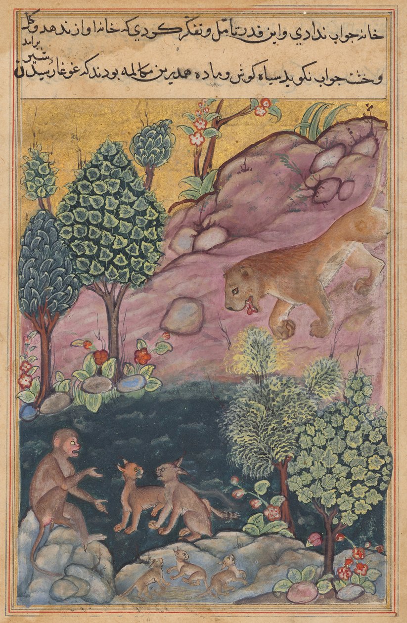 Løven vender tilbake til sitt territorium og ser apen samtale med gaupa, fra en Tuti-nama (Tales of a Parrot): Twenty-ninth Night av Unknown artist