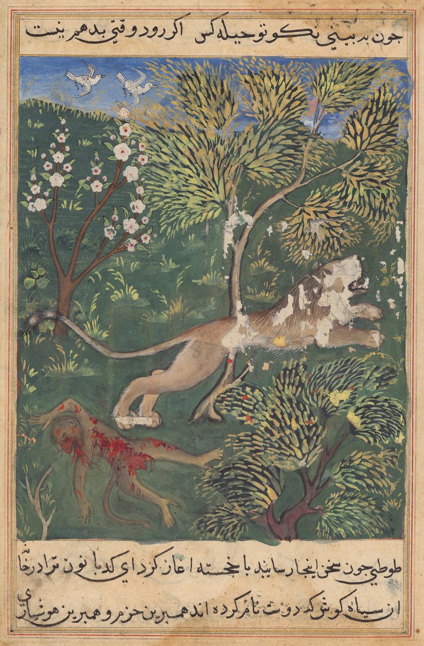 Løven, som mistenker forræderi fra apen, dreper ham og flykter fra en Tuti-nama (Tales of a Parrot): Twenty-nith Night av Unknown artist