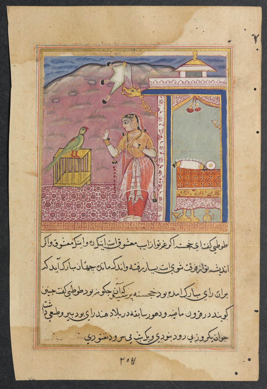 Papegøyen henvender seg til Khujasta på begynnelsen av den førtifjerde natten, fra en Tuti-nama (Tales of a Parrot) av Unknown artist
