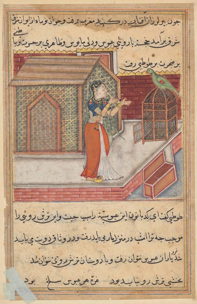 Papegøyen henvender seg til Khujasta på begynnelsen av den førti-niende natten, fra en Tuti-nama (Tales of a Parrot): Førti-niende natt av Unknown artist