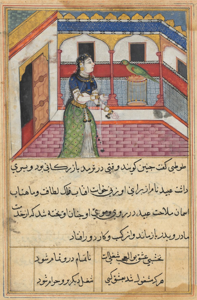 Papegøyen henvender seg til Khujasta på begynnelsen av den førtiandre natten, fra en Tuti-nama (Tales of a Parrot) av Unknown artist
