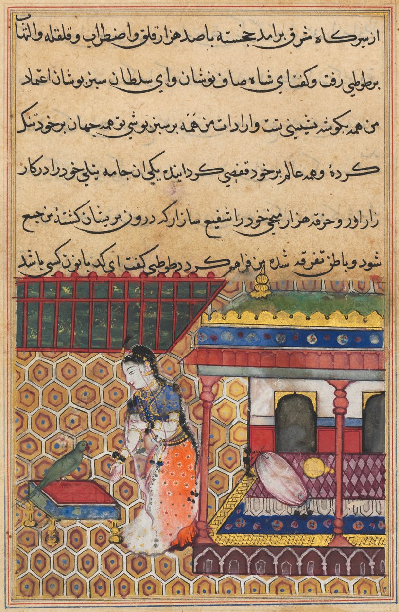 Papegøyen henvender seg til Khujasta på begynnelsen av den trettiåttende natten, fra en Tuti-nama (Tales of a Parrot) av Unknown artist