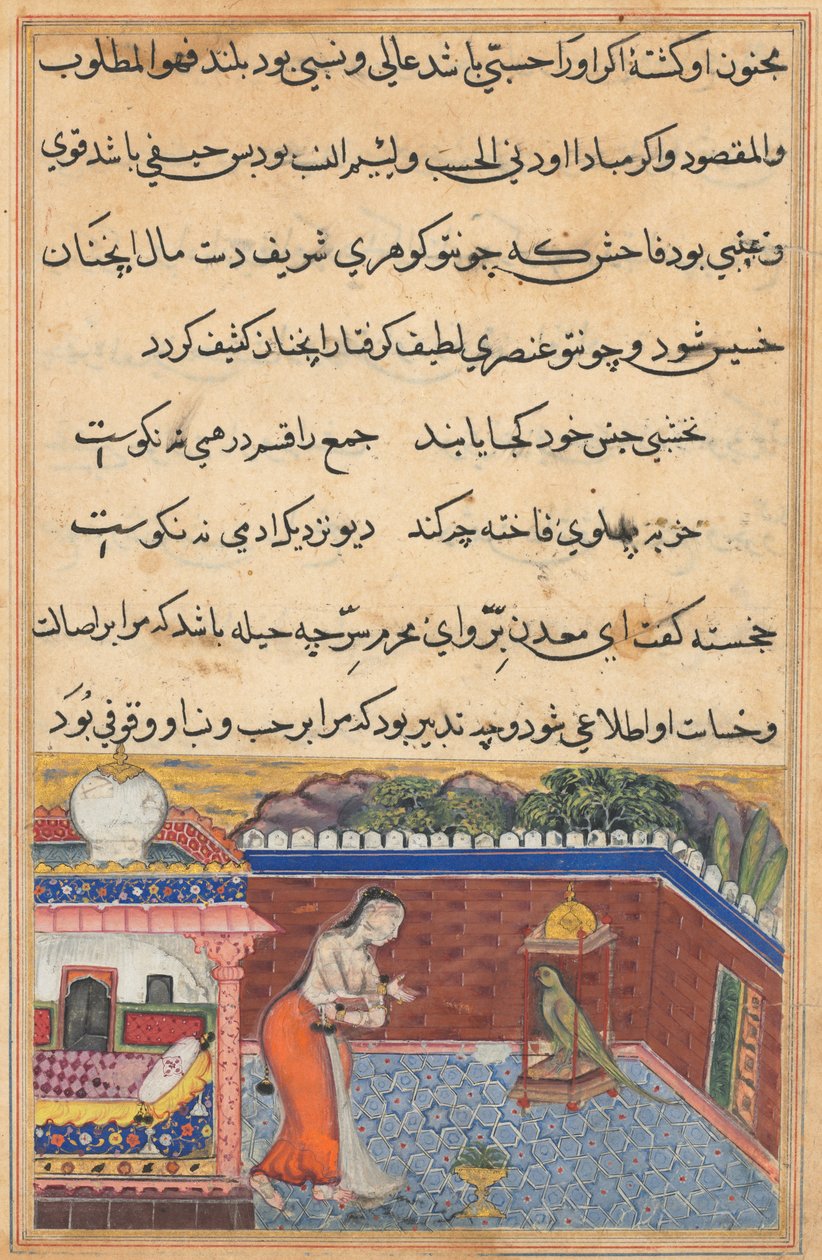 Papegøyen henvender seg til Khujasta i begynnelsen av den trettiførste natten, fra en Tuti-nama (Tales of a Parrot) av Unknown artist