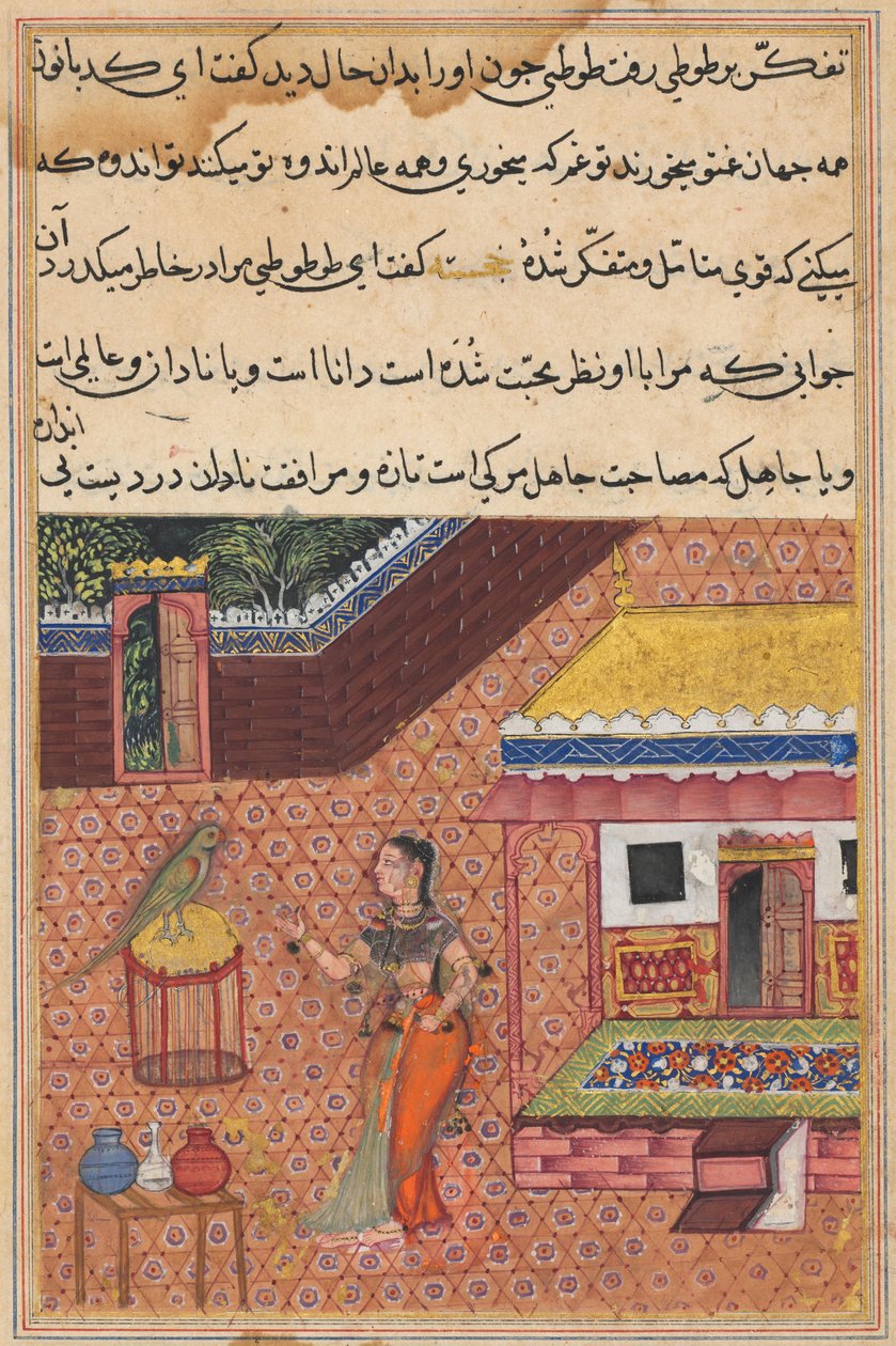Papegøyen henvender seg til Khujasta på begynnelsen av den trettifjerde natten, fra en Tuti-nama (Tales of a Parrot) av Unknown artist