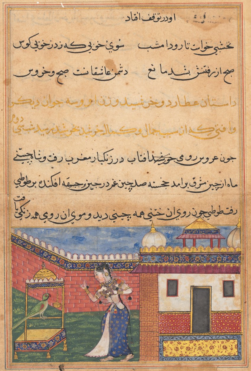 Papegøyen henvender seg til Khujasta på begynnelsen av den trettiandre natten, fra en Tuti-nama (Tales of a Parrot) av Unknown artist