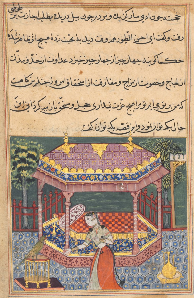 Papegøyen henvender seg til Khujasta på begynnelsen av den trettisjuende natten, fra en Tuti-nama (Tales of a Parrot) av Unknown artist