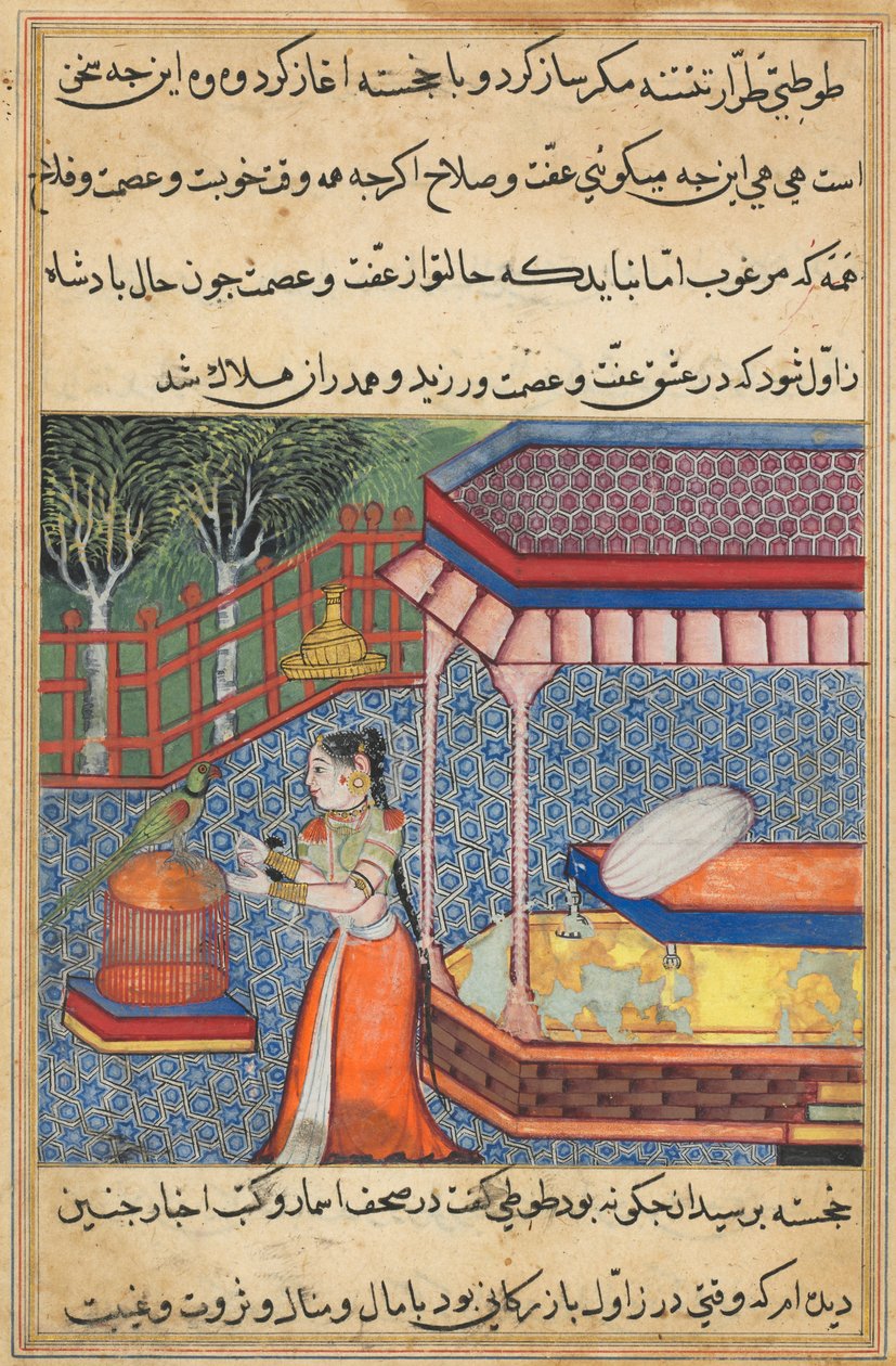 Papegøyen henvender seg til Khujasta i begynnelsen av den trettisette natten, fra en Tuti-nama (Tales of a Parrot) av Unknown artist