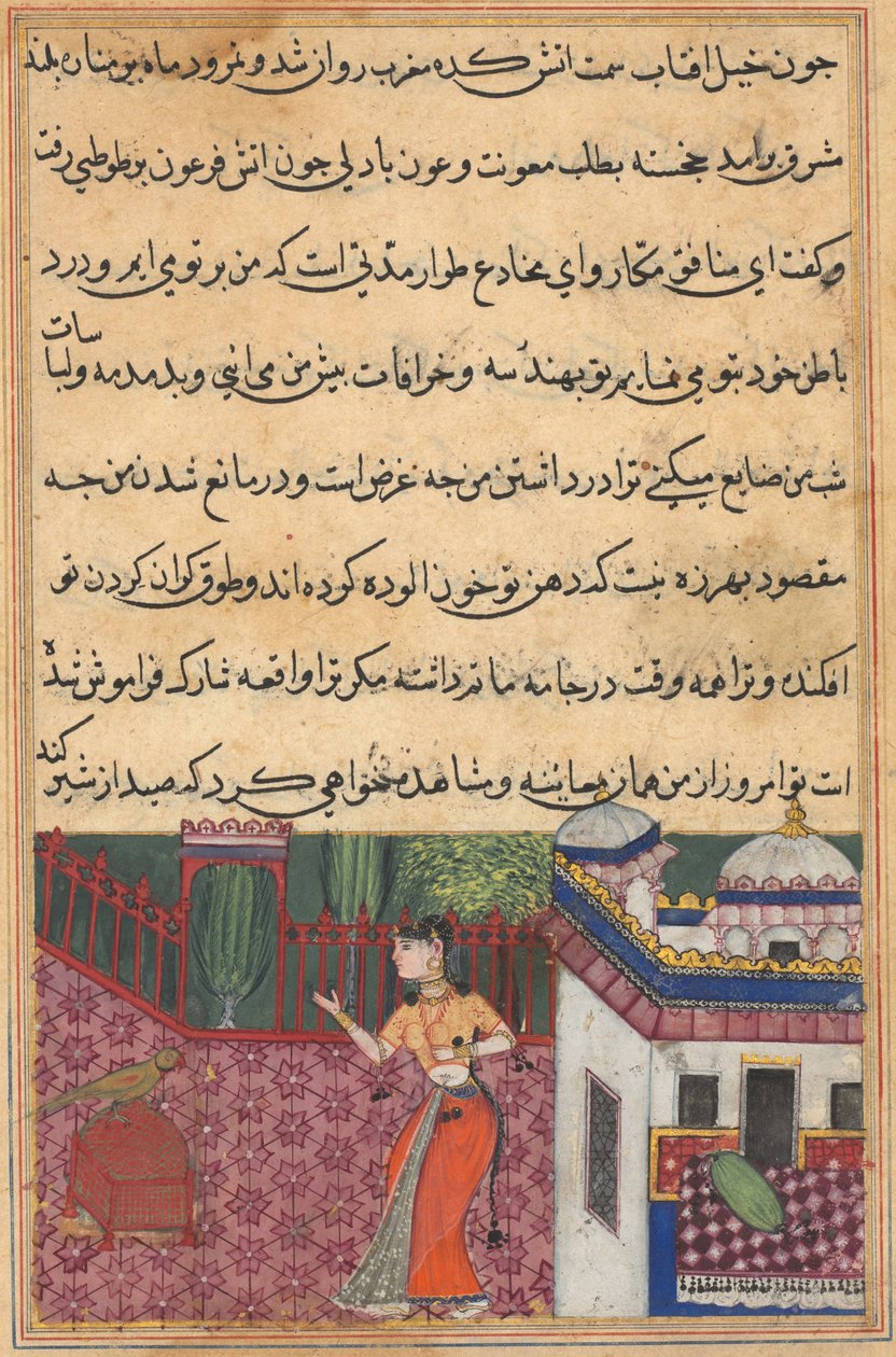 Papegøyen henvender seg til Khujasta i begynnelsen av den trettitredje natten, fra en Tuti-nama (Tales of a Parrot) av Unknown artist
