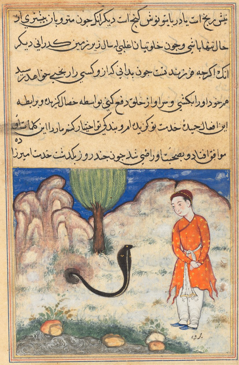 Prinsen, en sønn av herskeren av Sistan, går i tjeneste for en slange, fra en Tuti-nama (Tales of a Parrot): Trettisjuende natt av Unknown artist