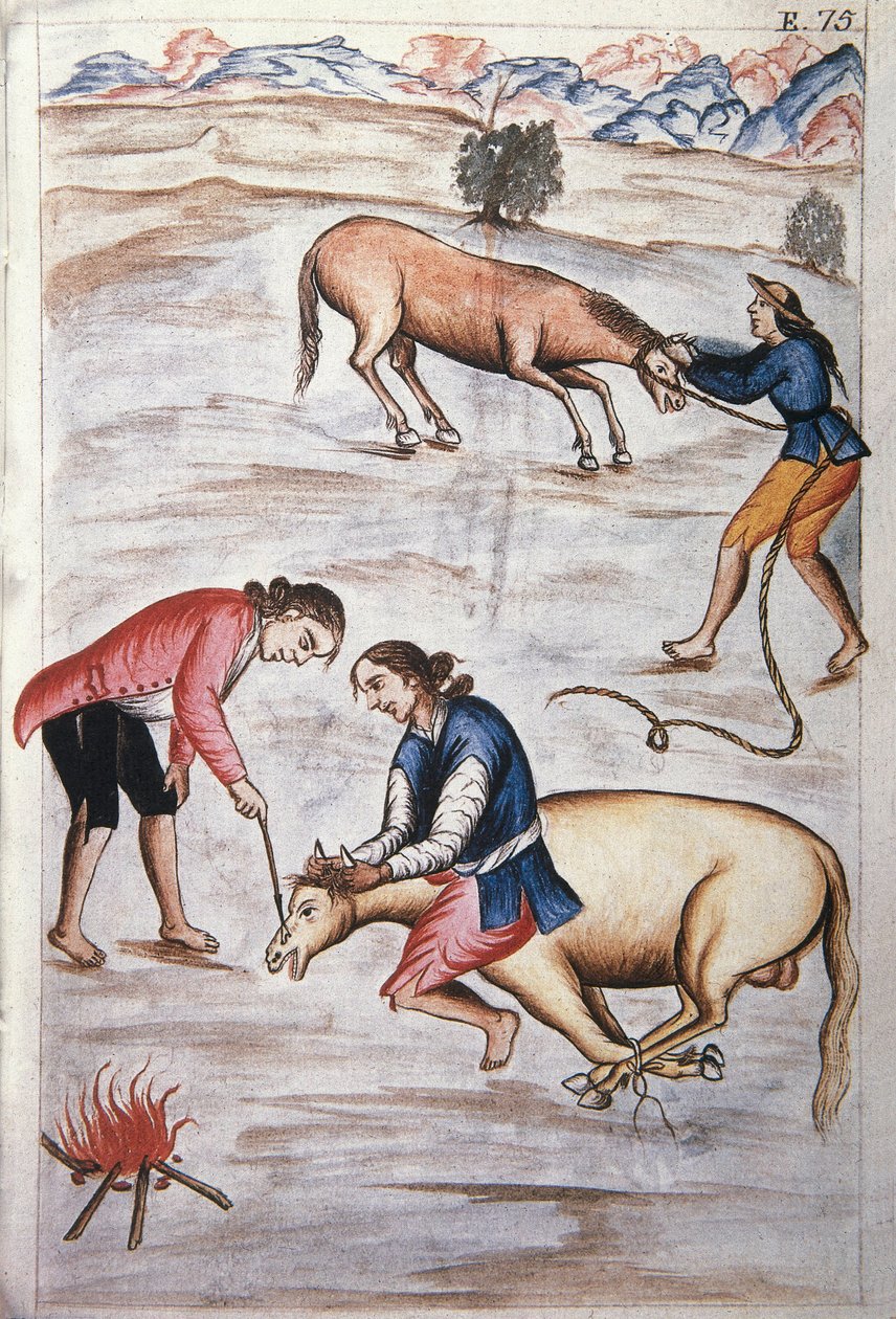 Det røde jernmerket til en hoppe, fra boken "Trujillo del Peru" eller "Codex Martinez Companion", av Baltazar Martinez Companion og Bujanda, biskop av Trujillo (1782-1785) av Unknown artist