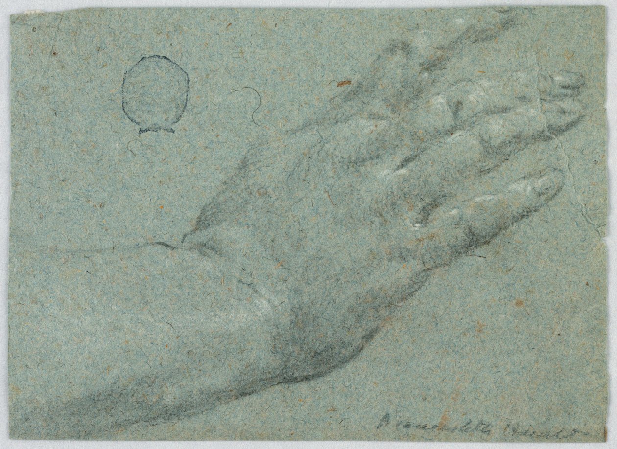 Høyre hånd til en mann av Unknown artist