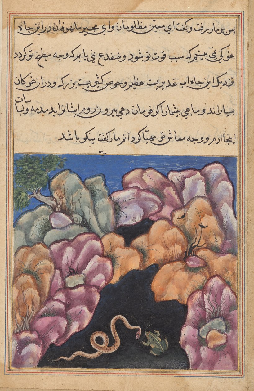 Slangen går i krangel med frosken, fra en Tuti-nama (Tales of a Parrot): Twenty-sixth Night av Unknown artist