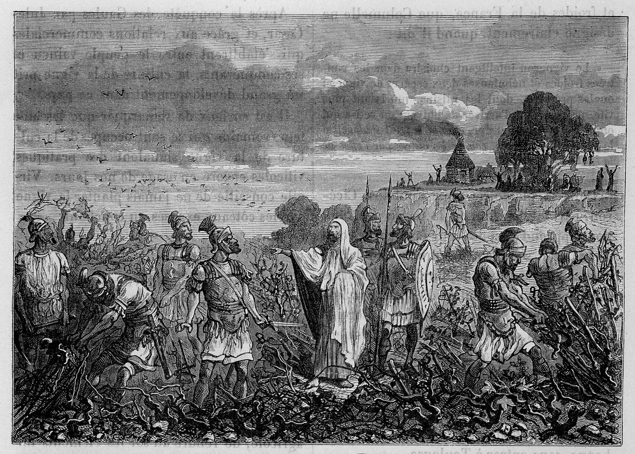 Vinrankene rykket opp i gallerne, etter ordre fra keiser Domitian - i "" Industriens underverk"" av Louis Figuier, Paris av Unknown artist