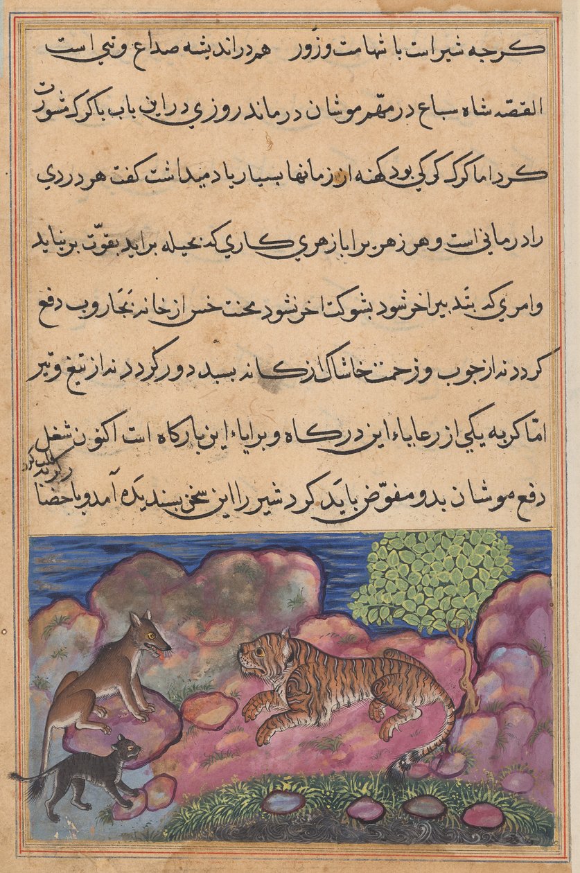 Ulven råder løven til å konsultere katten, fra en Tuti-nama (Tales of a Parrot): Femtende natt av Unknown artist
