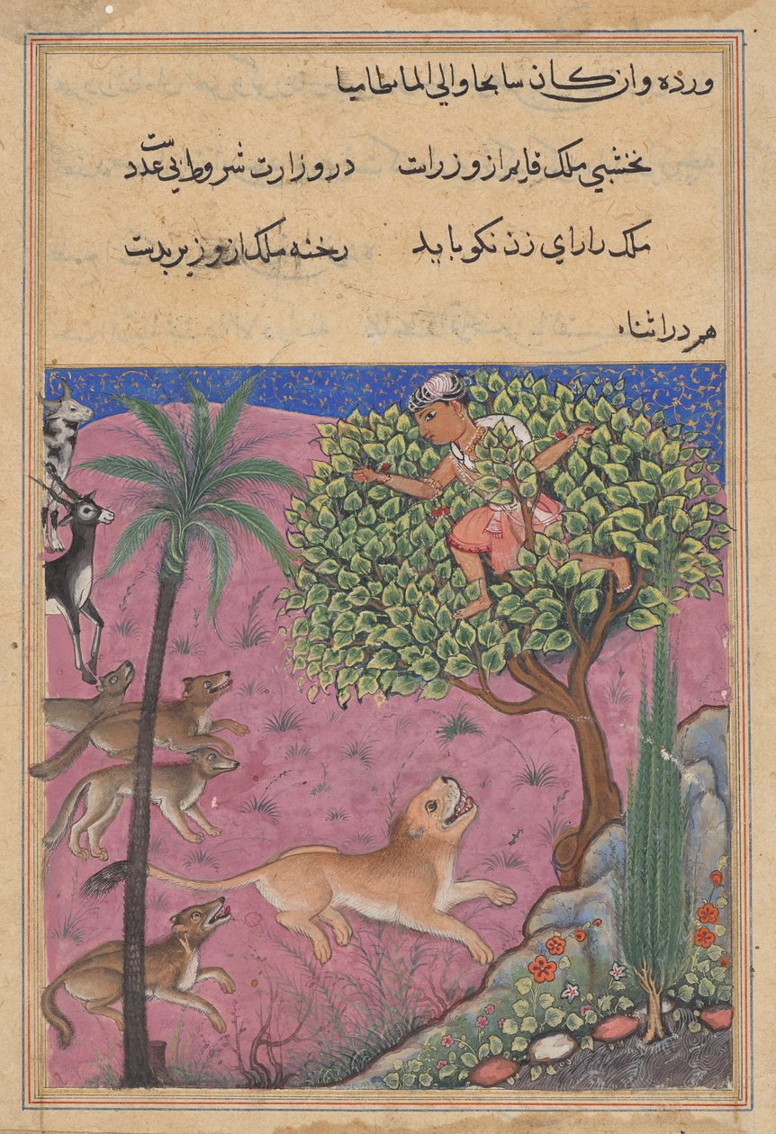 Ulven og sjakalen, som tjener som vesirer, anstifter løven som forfølger brahmanen opp i et tre, fra en Tuti-nama (Tales of a Parrot): Twenty-first Night av Unknown artist