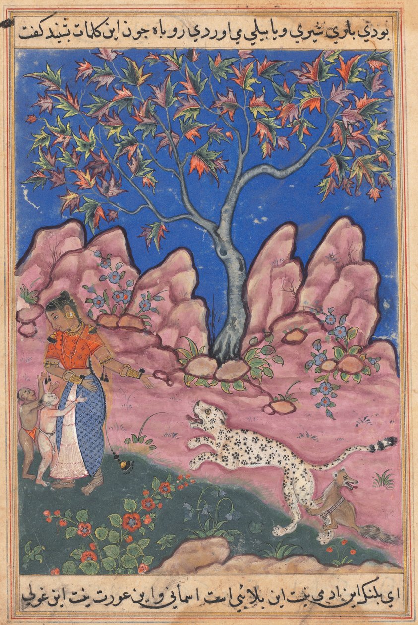 Kvinnen som snakker med barna sine, mens leoparden kommer tilbake, egget på av en rev som er bundet til beinet hans, fra en Tuti-nama (Tales of a Papegøye): Trettiende natt av Unknown artist