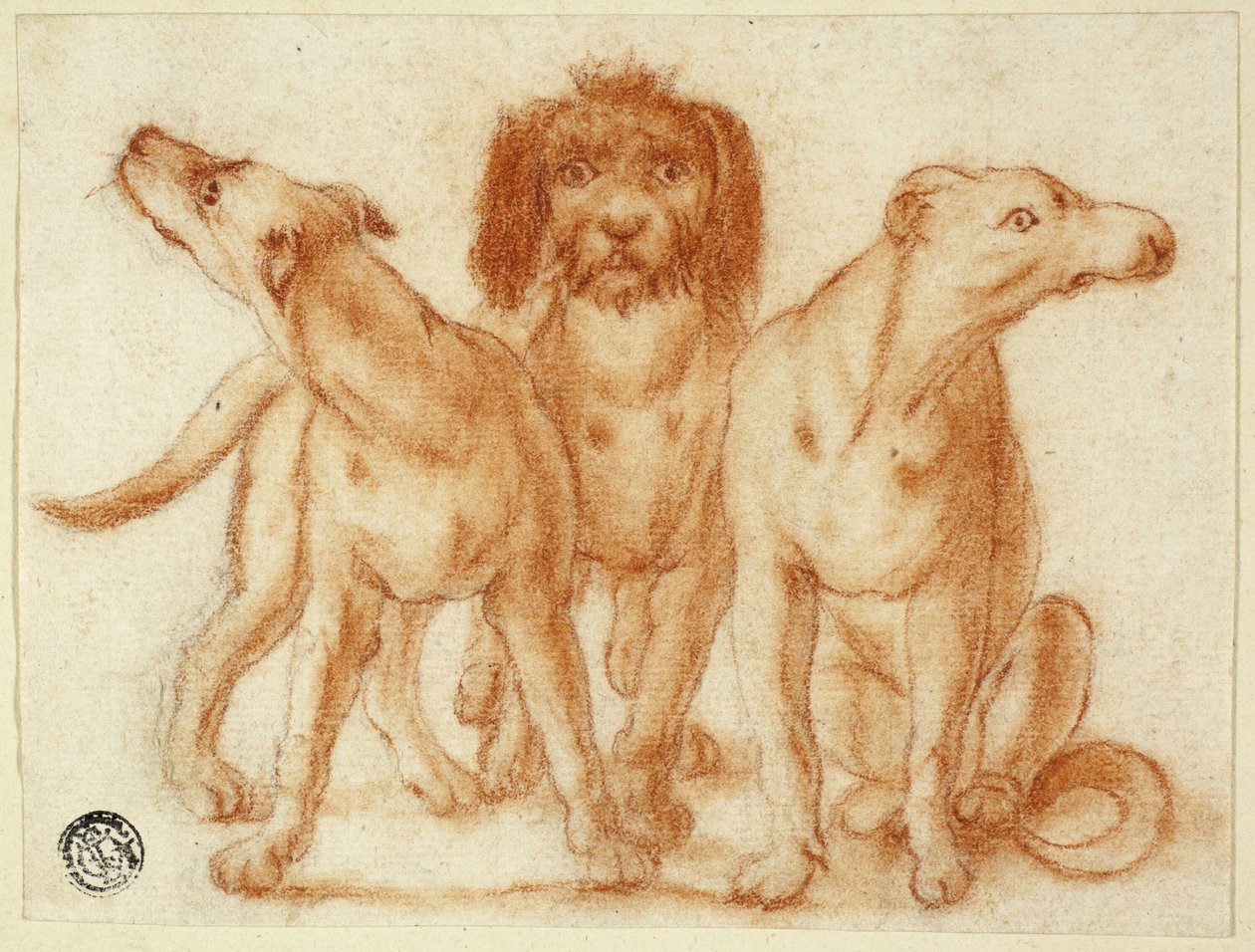 Tre hunder av Unknown artist