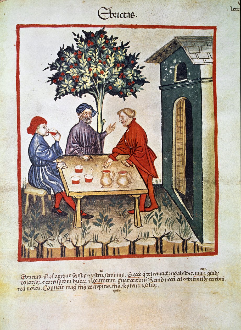 Behandle medisin: "" drukkenskap"" Side hentet fra "" Tacuinum sanitatis"" (Cod. ser. nov. 2644) Rundt 1400 Wien, Østerriksk nasjonalbibliotek av Unknown artist