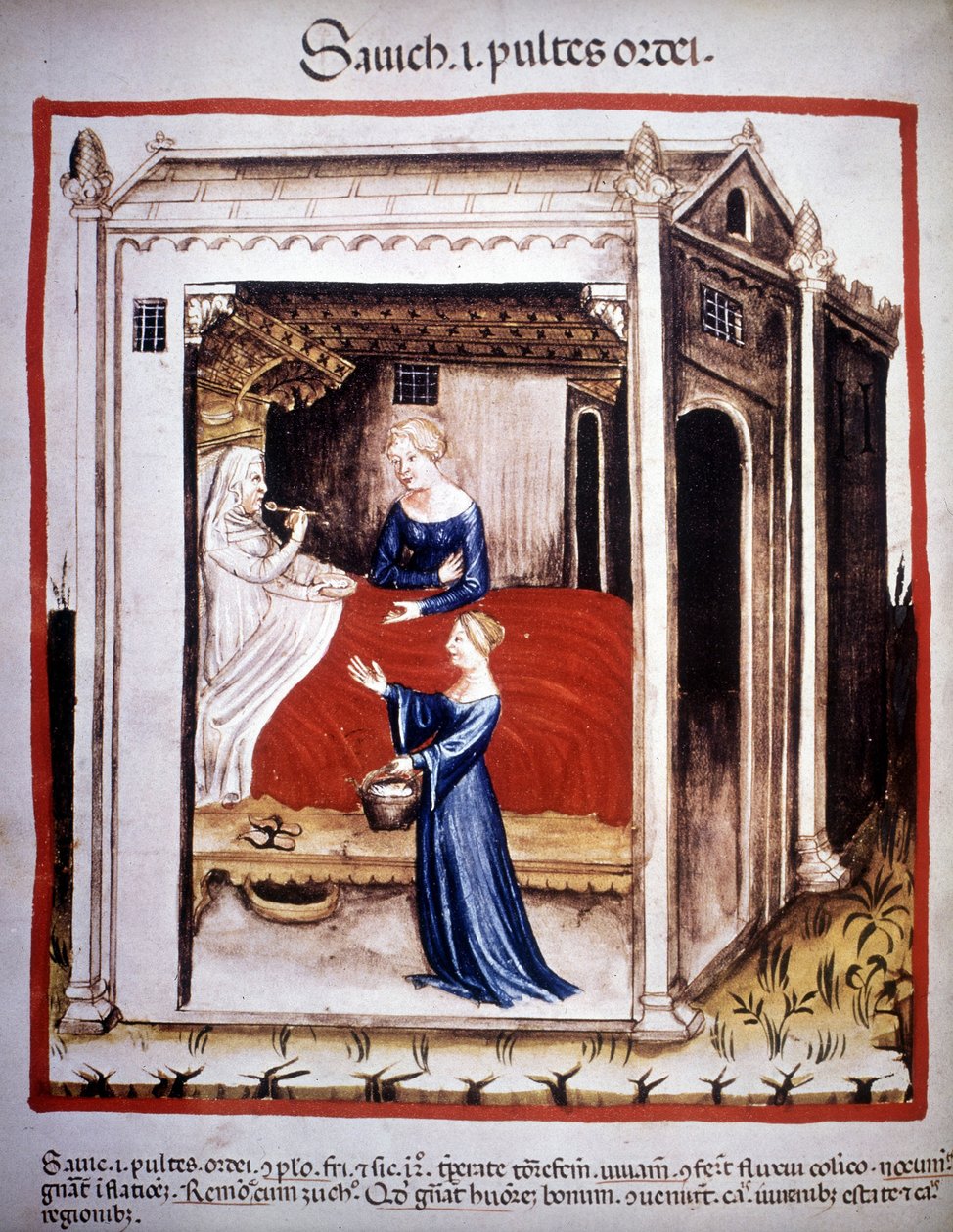 Avhandling om medisin "" Tacuinum sanitatis""" 1300-tallet: en pasient assistert av sykepleiere. B.N, Wien. av Unknown artist