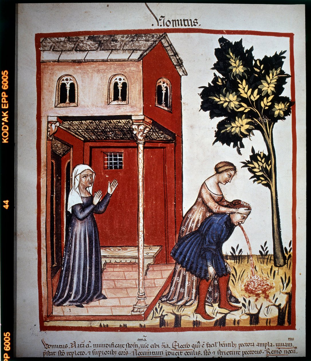 Medisinavhandling "Tacuinum sanitatis"" fra 1300-tallet: oppkast. B.N, Wien. av Unknown artist