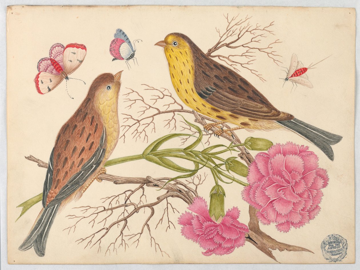 To brune og gule fugler på grener med nelliker og insekter av Unknown artist