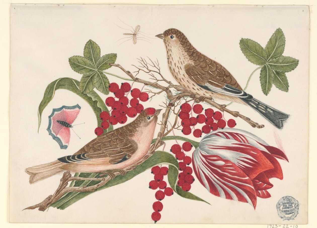 To brune fugler på gren med tulipaner, bær og insekter av Unknown artist