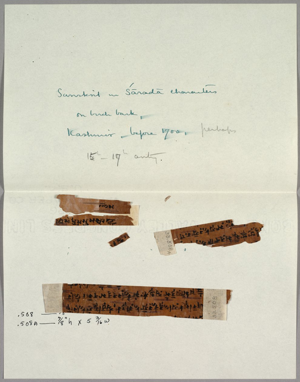 To fragmenter av bark med sanskrit av Unknown artist