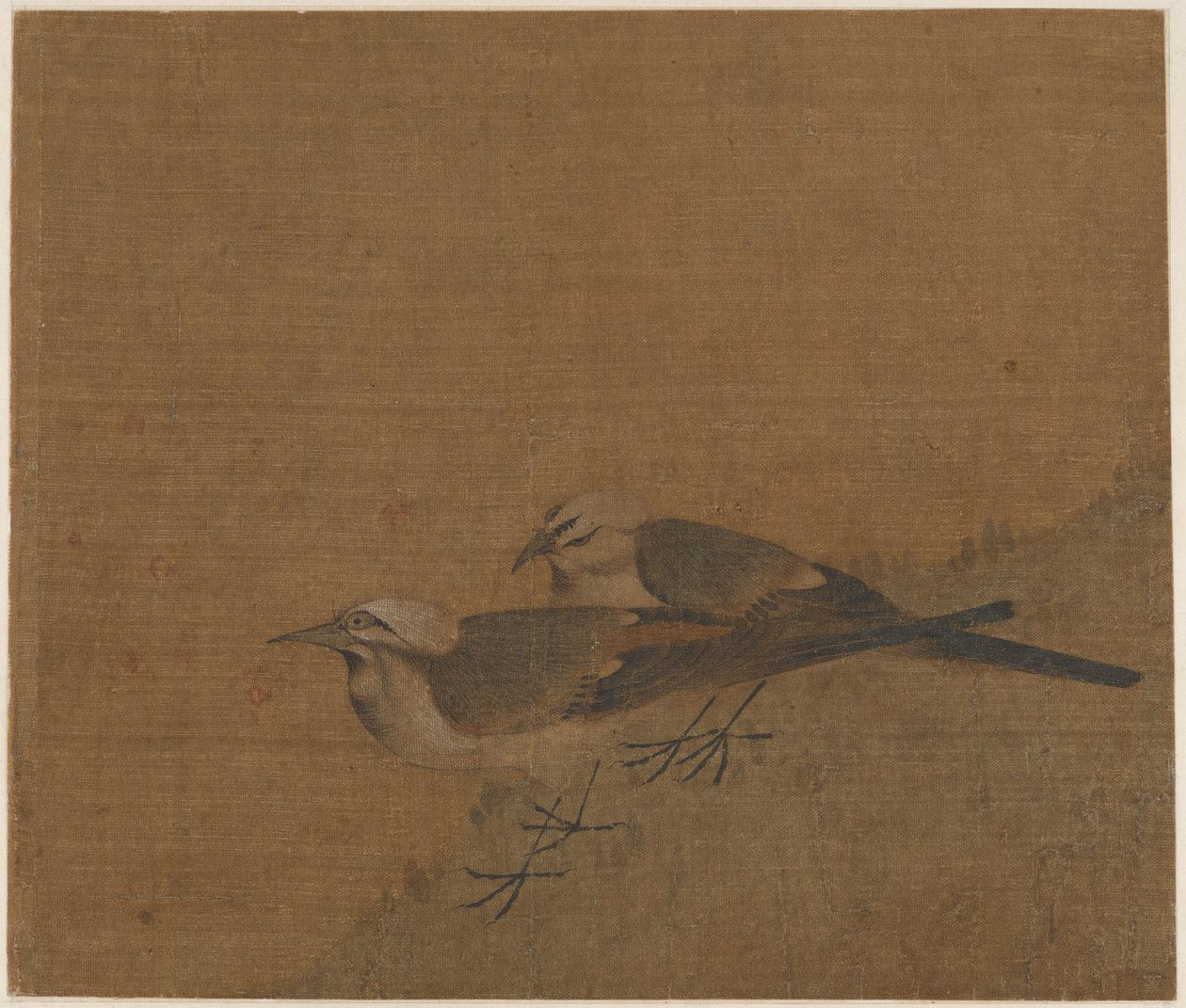 Two pied wagtails   1258445   no       norwegian Successfully Translated  Original: Tradecard, Crace and Son Translat: Tradecard, Crace and Son 1257986 no norwegian Successfully Translated Original: Siamang, from Histoire Naturelle des Mammifères (colour l av Unknown artist
